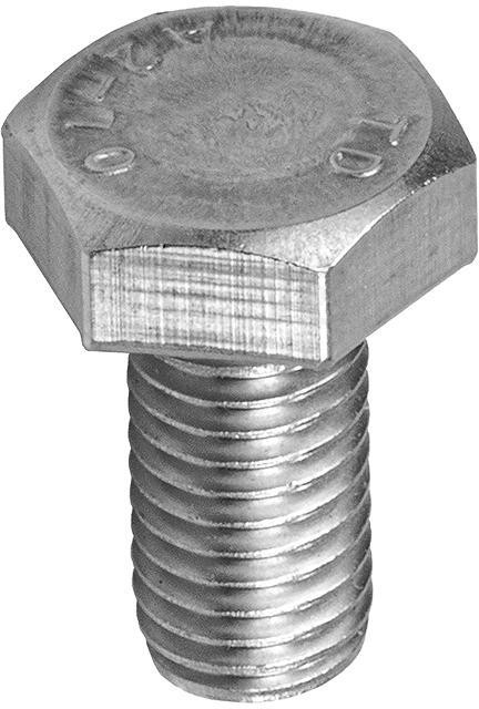 Vite con lbem pzesciokatnym M10 30mm KENO (K-28-30)